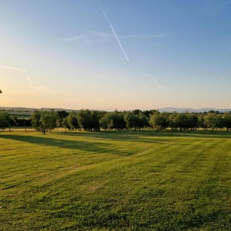 Apartment In Near Trasimeno *